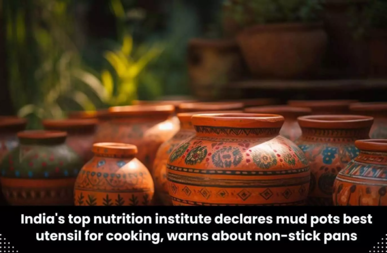भारत के टॉप न्यूट्रिशन संस्थान ने मिट्टी के बर्तनों को खाना पकाने के लिए सर्वश्रेष्ठ बताया, नॉन-स्टिक को हानिकारक करार दिया